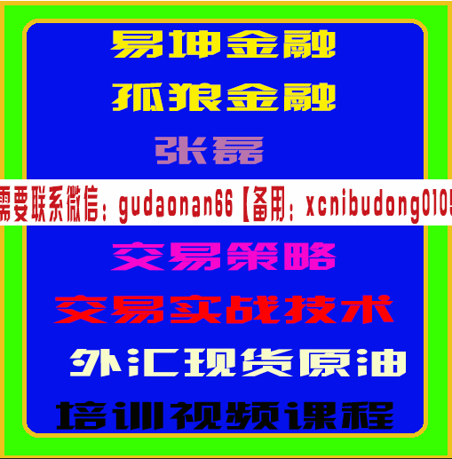 易坤金融孤狼张磊以调整为基础交易策略交易实战技术外汇原油期货培训视频