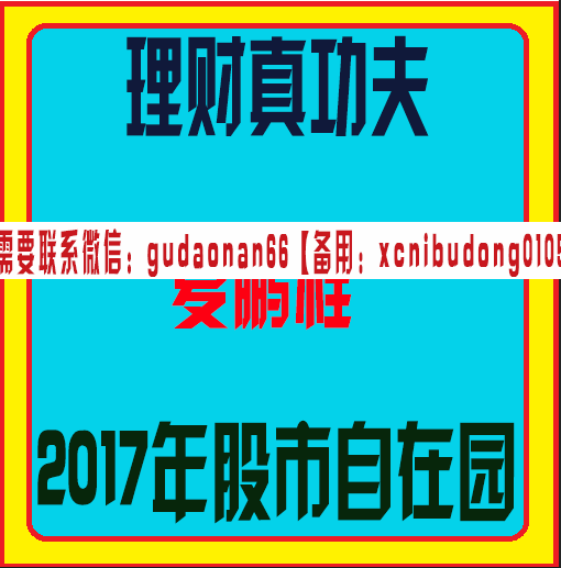 理财真功夫藏金阁夏鹏程2017年股市自在园视频课程