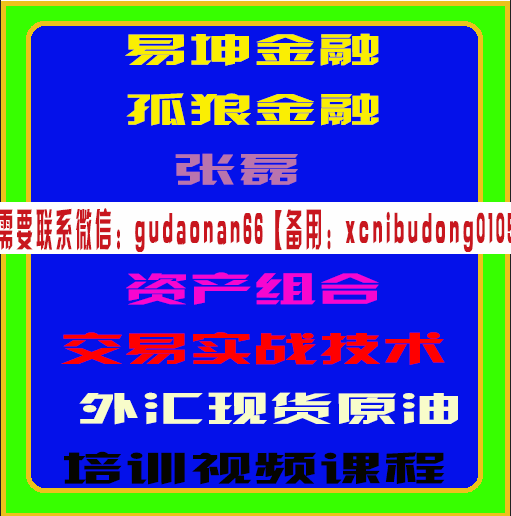 易坤金融孤狼张磊资产配置资产组合交易实战技术外汇原油期货培训视频