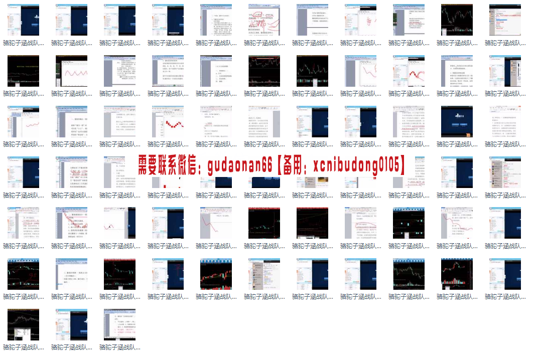 骆驼子涵战队量线精髓高清视频课程69集