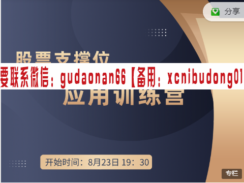 毕晓波scs2021年股票支撑位应用训练营视频课程